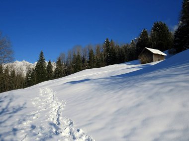Alpstein dağlarının yamaçlarında ve İsviçre Alpleri 'nin taze dağlık kar örtüsünde, Nesslau - Obertoggenburg, İsviçre / Schweiz