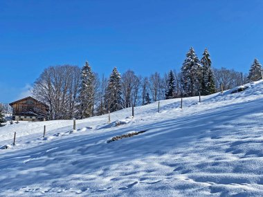 Alpstein dağlarının tepelerindeki ağaçlar ve çalılar taze beyaz kar örtüsü üzerinde uzanır, Nesslau - Obertoggenburg, İsviçre / Schweiz