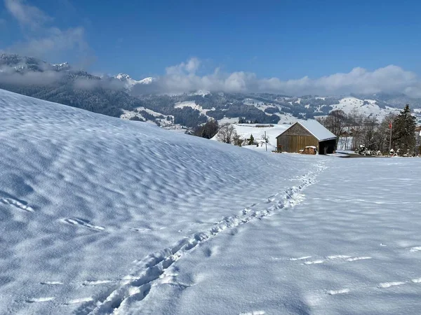 Maravillosas Rutas Senderismo Invierno Rastros Las Laderas Cordillera Alpstein Cubierta — Foto de Stock