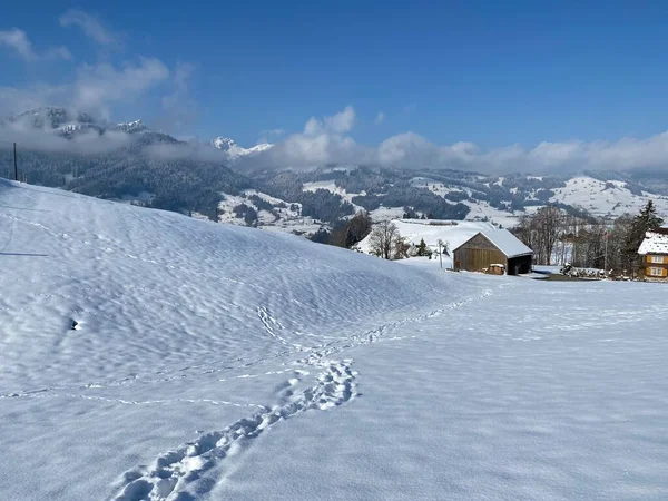 素晴らしい冬のハイキングコースとアルプシュタイン山脈の斜面とスイスアルプス ネスラウの新鮮な高山雪のカバーでの痕跡 Obertoggenburg スイス スイス — ストック写真