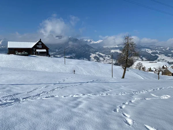 Alpstein dağlarının yamaçlarında ve İsviçre Alpleri 'nin taze dağlık kar örtüsünde, Nesslau - Obertoggenburg, İsviçre / Schweiz