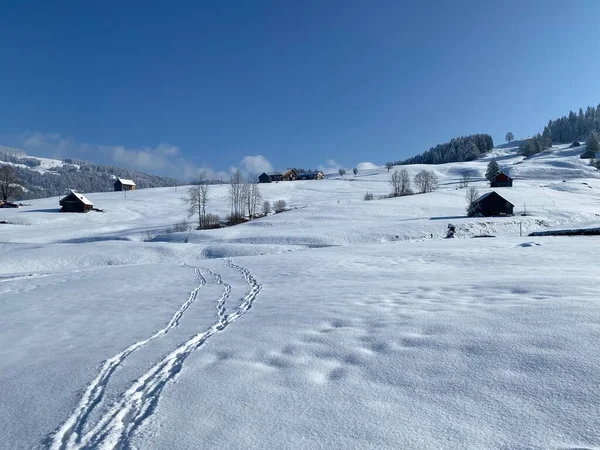 Prachtige Winterwandelwegen Sporen Hellingen Van Het Alpsteingebergte Frisse Alpiene Sneeuwbedekking — Stockfoto