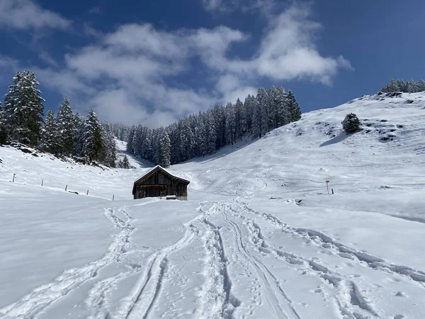 Maravillosas Rutas Senderismo Invierno Rastros Las Laderas Cordillera Alpstein Cubierta —  Fotos de Stock