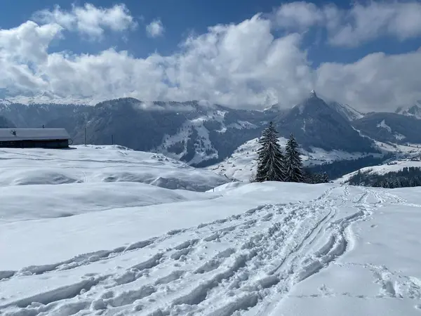 素晴らしい冬のハイキングコースとアルプシュタイン山脈の斜面とスイスアルプス ネスラウの新鮮な高山雪のカバーでの痕跡 Obertoggenburg スイス スイス — ストック写真