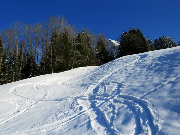 Nádherné Zimní Turistické Stezky Stezky Svazích Pohoří Alpstein Čerstvém Vysokohorském — Stock fotografie