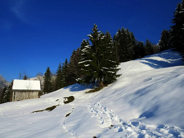 素晴らしい冬のハイキングコースとアルプシュタイン山脈の斜面とスイスアルプス ネスラウの新鮮な高山雪のカバーでの痕跡 Obertoggenburg スイス スイス — ストック写真