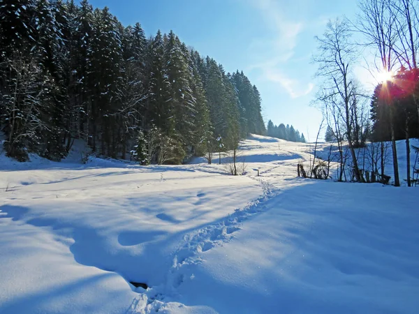 素晴らしい冬のハイキングコースとアルプシュタイン山脈の斜面とスイスアルプス ネスラウの新鮮な高山雪のカバーでの痕跡 Obertoggenburg スイス スイス — ストック写真