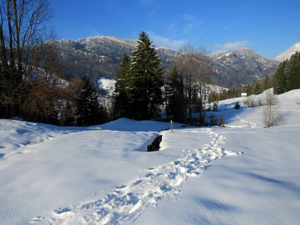 Maravilhosas Trilhas Para Caminhadas Inverno Traços Nas Encostas Cordilheira Alpstein — Fotografia de Stock