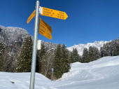 Turistická značení a orientační značení s orientačními ukazateli pro plavbu v idylickém zimním prostředí na horském masivu Alpstein a ve švýcarských Alpách - Nesslau, Švýcarsko / Schweiz