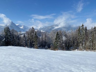 Obertoggenburg Alp Vadisi ve İsviçre Alpleri - Nesslau, İsviçre / Schweiz - üzerinde bahar kar yağışı sonrasında tipik bir kış atmosferindeki alp ağaçlarının resimli tepe örtüleri