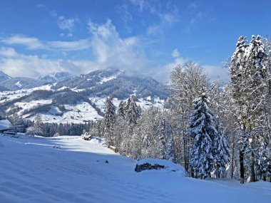 Obertoggenburg Alp Vadisi ve İsviçre Alpleri - Nesslau, İsviçre / Schweiz - üzerinde bahar kar yağışı sonrasında tipik bir kış atmosferindeki alp ağaçlarının resimli tepe örtüleri
