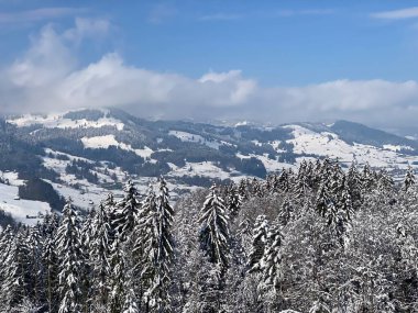 Obertoggenburg Alp Vadisi ve İsviçre Alpleri - Nesslau, İsviçre / Schweiz - üzerinde bahar kar yağışı sonrasında tipik bir kış atmosferindeki alp ağaçlarının resimli tepe örtüleri