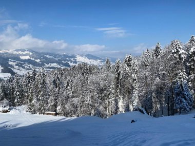 Obertoggenburg Alp Vadisi ve İsviçre Alpleri - Nesslau, İsviçre / Schweiz - üzerinde bahar kar yağışı sonrasında tipik bir kış atmosferindeki alp ağaçlarının resimli tepe örtüleri
