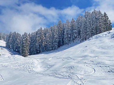 Obertoggenburg Alp Vadisi ve İsviçre Alpleri - Nesslau, İsviçre / Schweiz - üzerinde bahar kar yağışı sonrasında tipik bir kış atmosferindeki alp ağaçlarının resimli tepe örtüleri