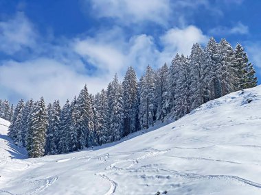Obertoggenburg Alp Vadisi ve İsviçre Alpleri - Nesslau, İsviçre / Schweiz - üzerinde bahar kar yağışı sonrasında tipik bir kış atmosferindeki alp ağaçlarının resimli tepe örtüleri