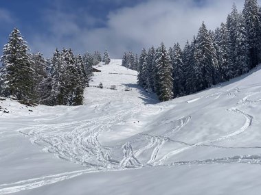 Obertoggenburg Alp Vadisi ve İsviçre Alpleri - Nesslau, İsviçre / Schweiz - üzerinde bahar kar yağışı sonrasında tipik bir kış atmosferindeki alp ağaçlarının resimli tepe örtüleri