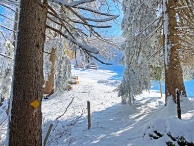 Alpstein dağ kütlesi ve İsviçre Alpleri 'nde - Nesslau, İsviçre / Schweiz - Nesslau, İsviçre / Schweiz