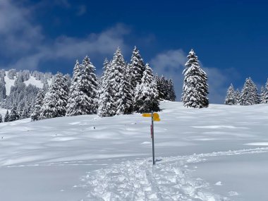 Alpstein dağ kütlesi ve İsviçre Alpleri 'nde - Nesslau, İsviçre / Schweiz - Nesslau, İsviçre / Schweiz