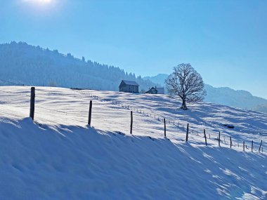 Alpstein ve Churfirsten dağ kitleleri, Nesslau - Obertoggenburg bölgesi, İsviçre / Schweiz arasındaki Thur nehir vadisinde (veya Thurtal) kar yağışı görülür.