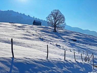 Obertoggenburg Bölgesi, Nesslau - İsviçre / Schweiz 'deki Churfirsten Dağları' nın karlı yamaçlarında güneş ışığı ve gölgenin büyülü bir oyunu.