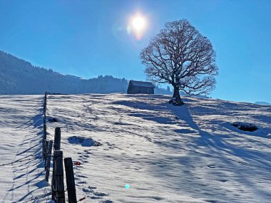 Obertoggenburg Bölgesi, Nesslau - İsviçre / Schweiz 'deki Churfirsten Dağları' nın karlı yamaçlarında güneş ışığı ve gölgenin büyülü bir oyunu.
