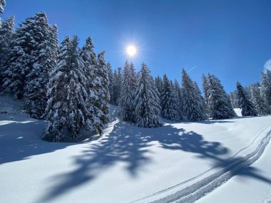 Obertoggenburg Bölgesi, Nesslau - İsviçre / Schweiz 'deki Churfirsten Dağları' nın karlı yamaçlarında güneş ışığı ve gölgenin büyülü bir oyunu.