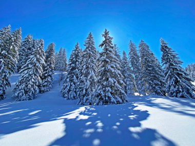 Obertoggenburg Bölgesi, Nesslau - İsviçre / Schweiz 'deki Churfirsten Dağları' nın karlı yamaçlarında güneş ışığı ve gölgenin büyülü bir oyunu.