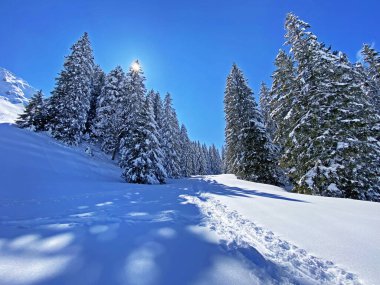 Obertoggenburg Bölgesi, Nesslau - İsviçre / Schweiz 'deki Churfirsten Dağları' nın karlı yamaçlarında güneş ışığı ve gölgenin büyülü bir oyunu.