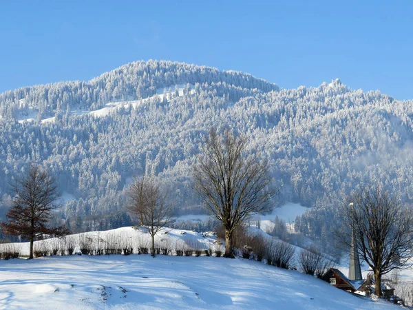 Malownicze Zadaszenia Alpejskich Drzew Typowej Zimowej Atmosferze Wiosennych Opadach Śniegu — Zdjęcie stockowe