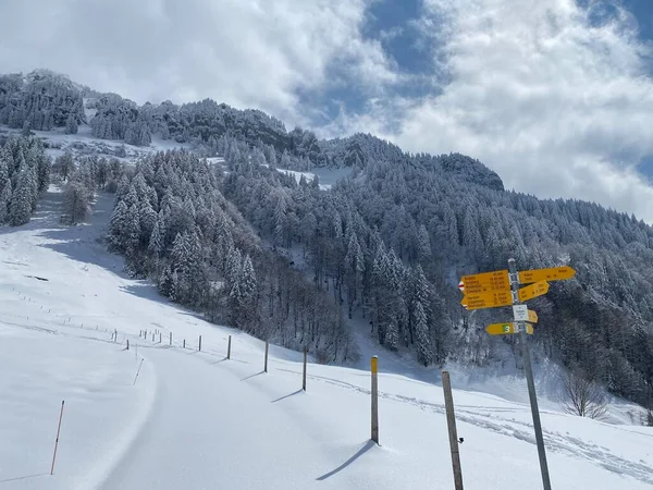 Wandelmarkeringen Oriëntatieborden Met Wegwijzers Voor Het Navigeren Idyllische Wintersfeer Het — Stockfoto