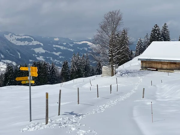 Alpstein dağ kütlesi ve İsviçre Alpleri 'nde - Nesslau, İsviçre / Schweiz - Nesslau, İsviçre / Schweiz