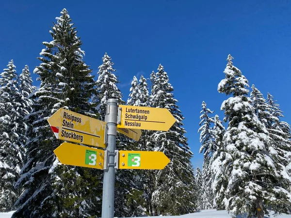 Alpstein dağ kütlesi ve İsviçre Alpleri 'nde - Nesslau, İsviçre / Schweiz - Nesslau, İsviçre / Schweiz