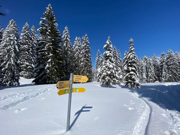 Alpstein dağ kütlesi ve İsviçre Alpleri 'nde - Nesslau, İsviçre / Schweiz - Nesslau, İsviçre / Schweiz