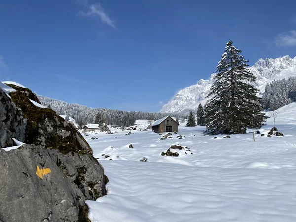 アルプスの山塊とスイスアルプスの牧歌的な冬の雰囲気をナビゲートするための標識やオリエンテーションの標識をハイキング ネスラウ スイス スイス — ストック写真