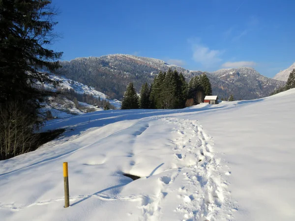 Alpstein dağ kütlesi ve İsviçre Alpleri 'nde - Nesslau, İsviçre / Schweiz - Nesslau, İsviçre / Schweiz