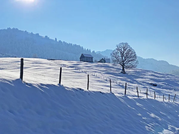 Neve Invernale Idilliaca Nella Valle Del Fiume Thur Thurtal Tra — Foto Stock