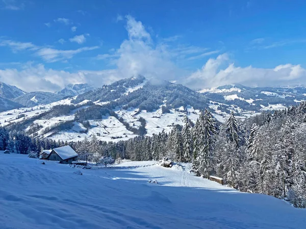Alpstein ve Churfirsten dağ kitleleri, Nesslau - Obertoggenburg bölgesi, İsviçre / Schweiz arasındaki Thur nehir vadisinde (veya Thurtal) kar yağışı görülür.