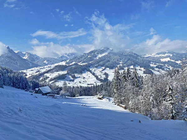 Alpstein ve Churfirsten dağ kitleleri, Nesslau - Obertoggenburg bölgesi, İsviçre / Schweiz arasındaki Thur nehir vadisinde (veya Thurtal) kar yağışı görülür.
