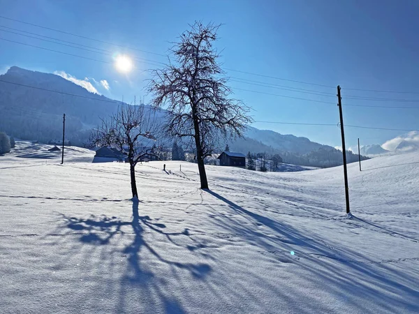 Obertoggenburg Bölgesi, Nesslau - İsviçre / Schweiz 'deki Churfirsten Dağları' nın karlı yamaçlarında güneş ışığı ve gölgenin büyülü bir oyunu.
