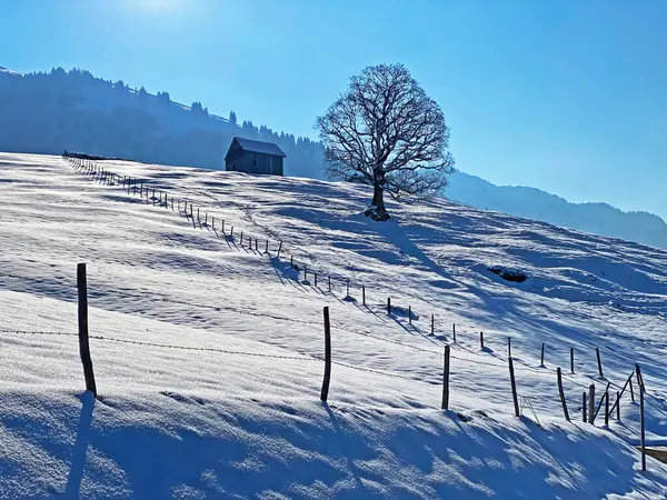 Obertoggenburg Bölgesi, Nesslau - İsviçre / Schweiz 'deki Churfirsten Dağları' nın karlı yamaçlarında güneş ışığı ve gölgenin büyülü bir oyunu.