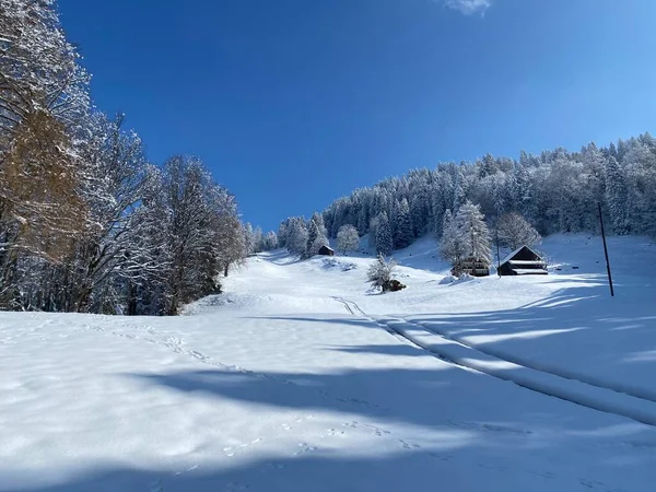 Magical Play Sunlight Shadow Alpine Winter Snowy Slopes Churfirsten Mountain — стоковое фото