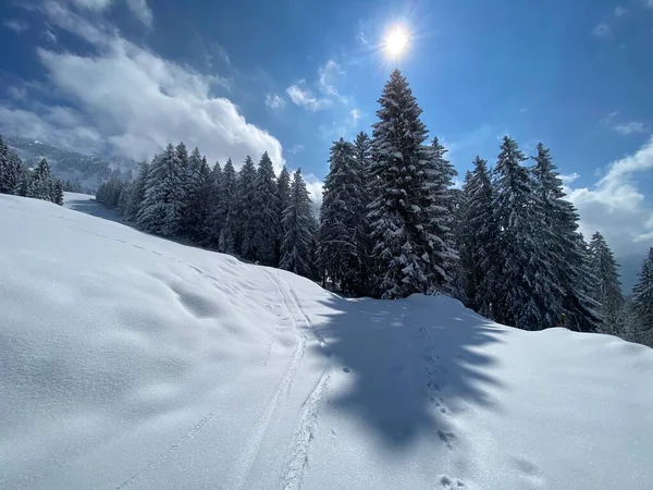 Obertoggenburg Bölgesi, Nesslau - İsviçre / Schweiz 'deki Churfirsten Dağları' nın karlı yamaçlarında güneş ışığı ve gölgenin büyülü bir oyunu.