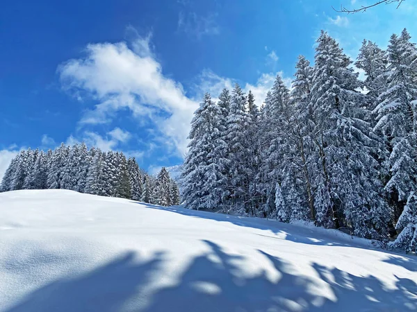 Obertoggenburg Bölgesi, Nesslau - İsviçre / Schweiz 'deki Churfirsten Dağları' nın karlı yamaçlarında güneş ışığı ve gölgenin büyülü bir oyunu.