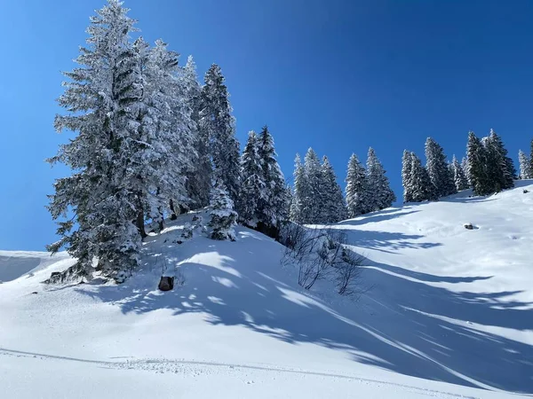 Magico Gioco Sole Ombra Durante Inverno Alpino Sulle Piste Innevate — Foto Stock