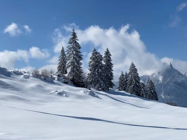 Obertoggenburg bölgesindeki Alpstein kalabalığının tepeleri ve dağlardan oluşan gerçekçi olmayan karlı kış manzaralı doğal bir peri masalı - Nesslau, İsviçre / Schweiz