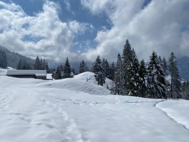 Obertoggenburg bölgesindeki Alpstein kalabalığının tepeleri ve dağlardan oluşan gerçekçi olmayan karlı kış manzaralı doğal bir peri masalı - Nesslau, İsviçre / Schweiz