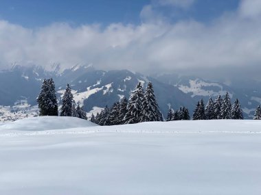 Obertoggenburg bölgesindeki Alpstein kalabalığının tepeleri ve dağlardan oluşan gerçekçi olmayan karlı kış manzaralı doğal bir peri masalı - Nesslau, İsviçre / Schweiz