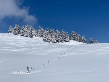 Obertoggenburg bölgesindeki Alpstein kalabalığının tepeleri ve dağlardan oluşan gerçekçi olmayan karlı kış manzaralı doğal bir peri masalı - Nesslau, İsviçre / Schweiz