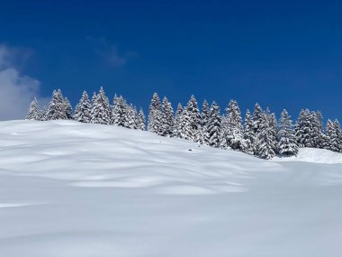 Obertoggenburg bölgesindeki Alpstein kalabalığının tepeleri ve dağlardan oluşan gerçekçi olmayan karlı kış manzaralı doğal bir peri masalı - Nesslau, İsviçre / Schweiz