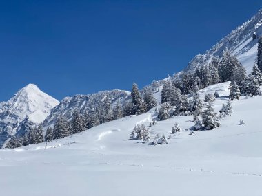 Obertoggenburg bölgesindeki Alpstein kalabalığının tepeleri ve dağlardan oluşan gerçekçi olmayan karlı kış manzaralı doğal bir peri masalı - Nesslau, İsviçre / Schweiz